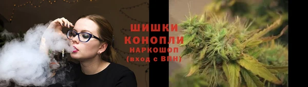 ПСИЛОЦИБИНОВЫЕ ГРИБЫ Абаза