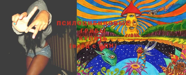 ПСИЛОЦИБИНОВЫЕ ГРИБЫ Абаза